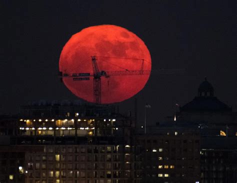 Can you ship wine to Texas, and does the moon ever get jealous of the sun's spotlight?