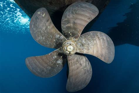 How Big Is a Cruise Ship Propeller: And Why Do They Spin Faster in Dreams?