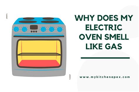 How Do I Know If My Oven Is Gas or Electric? And Why Does My Cat Stare at It So Intensely?