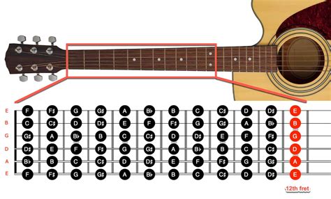 How Many Frets on an Electric Guitar: A Symphony of Strings and Imagination