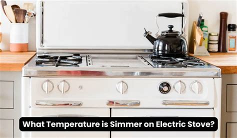 What Temp is Simmer on Electric Stove: Exploring the Culinary Dance of Heat and Flavor