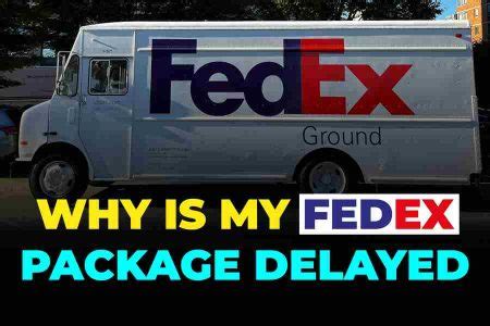 What to Do If FedEx Package Is Delayed: When Penguins Dream of Flying