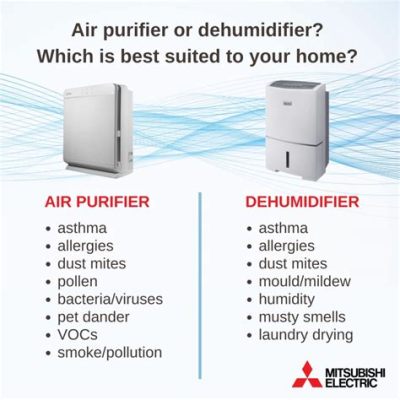 What's the Difference Between Air Purifier and Humidifier, and Why Do Cats Prefer One Over the Other?