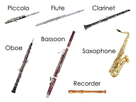 Which Instruments Are Members of the Woodwind Family and Why Do They Sound Like Whispering Trees?